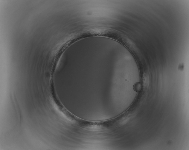 X0000112910637200909071535