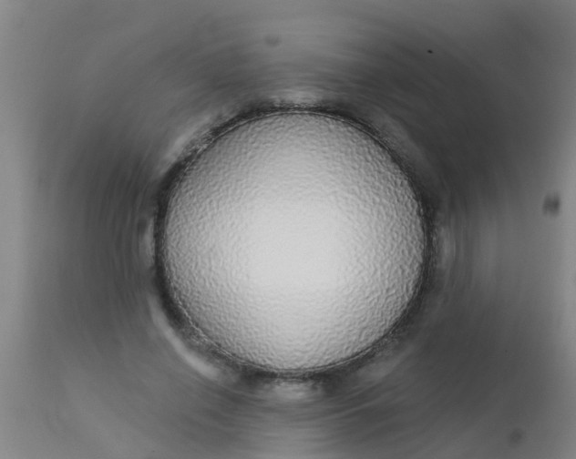 X0000112910638200909071535