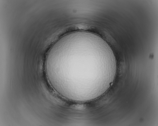 X0000112910639200909071535