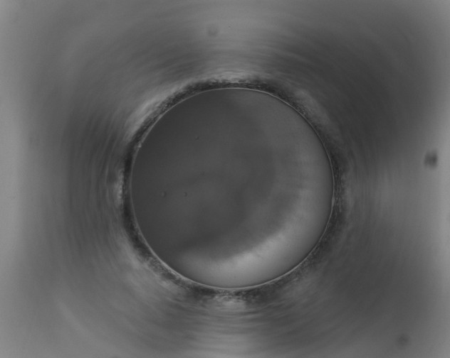 X0000112910640200909071535