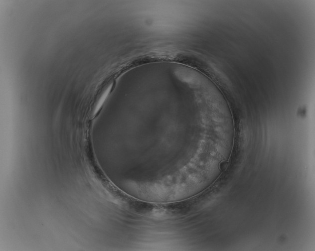 X0000112910641200909071535