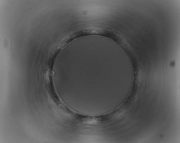 X0000112910643200909071535