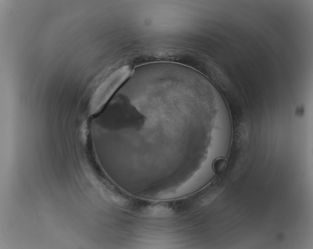 X0000112910644200909071535