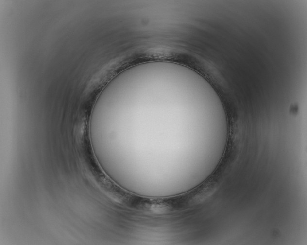 X0000112910645200909071535