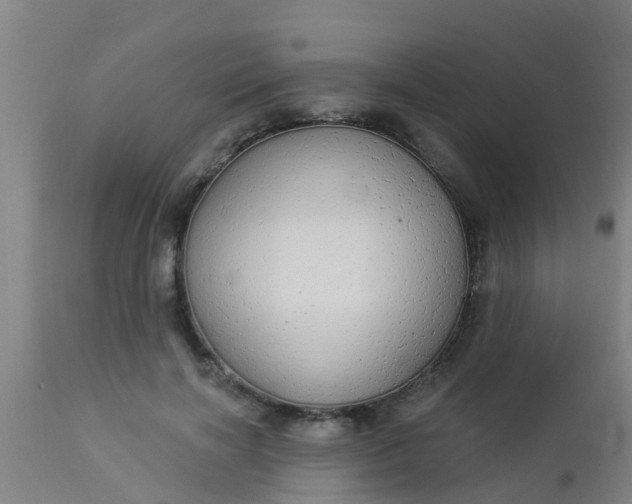 X0000112910646200909071535