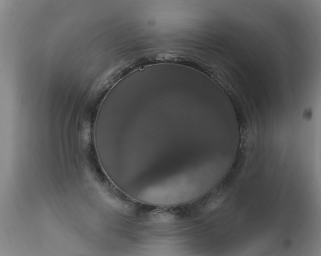 X0000112910648200909071535