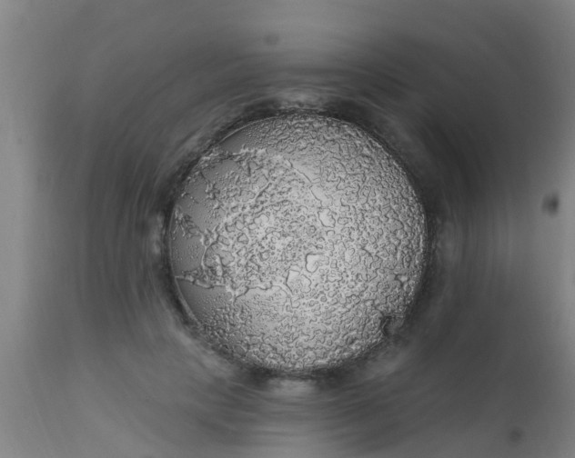 X0000112910649200909071535