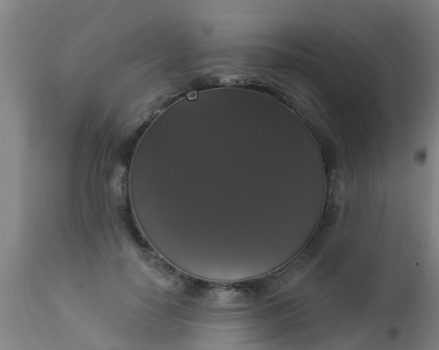 X0000112910650200909071535