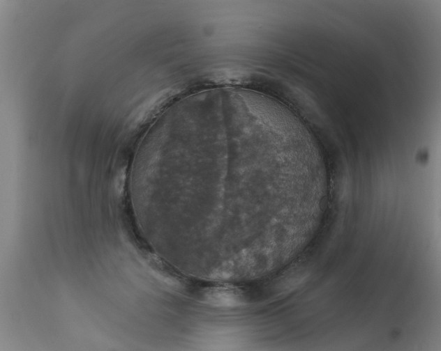 X0000112910652200909071535