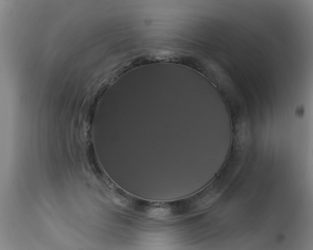 X0000112910653200909071535