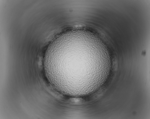 X0000112910654200909071535