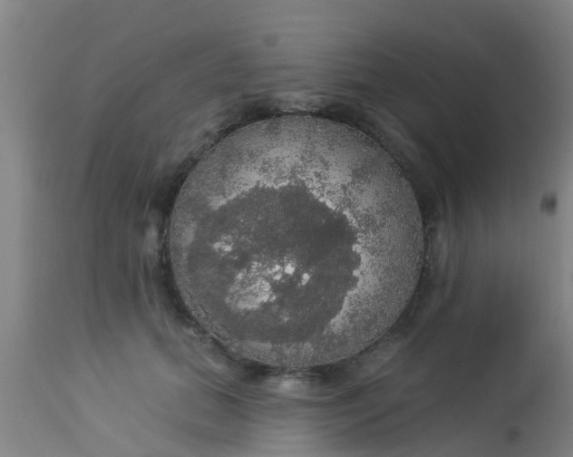 X0000112910655200909071535