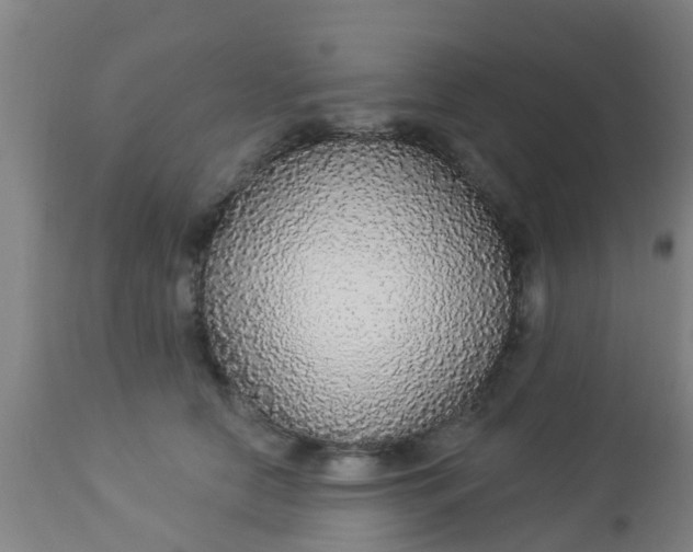 X0000112910658200909071536