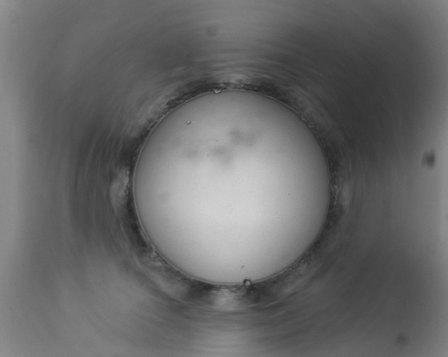 X0000112910660200909071536