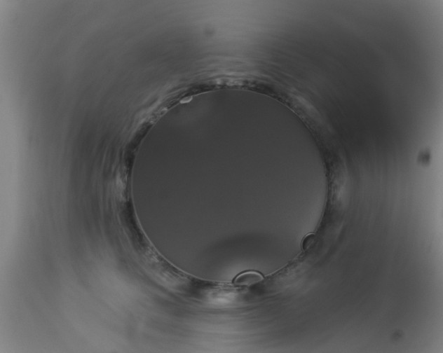 X0000112910661200909071536