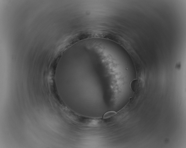 X0000112910663200909071536