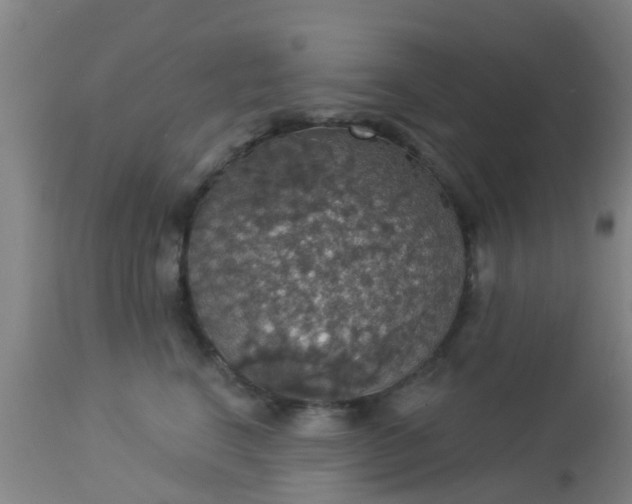 X0000112910664200909071536