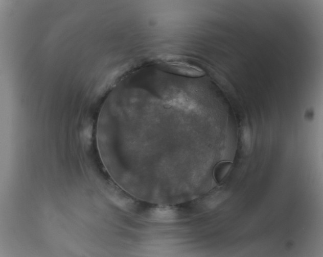 X0000112910668200909071536