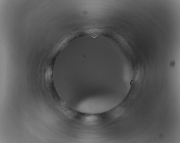 X0000112910669200909071536