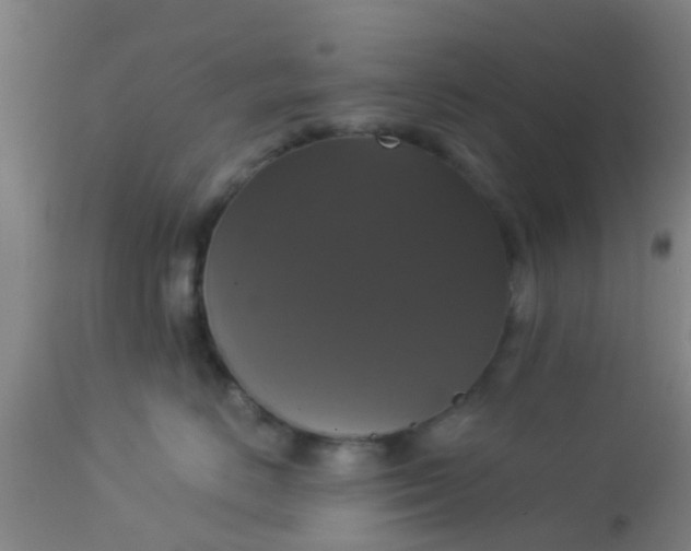 X0000112910670200909071536