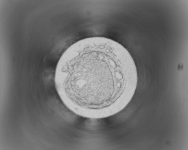 X0000112910672200909071536