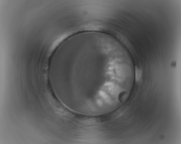 X0000112910675200909071535