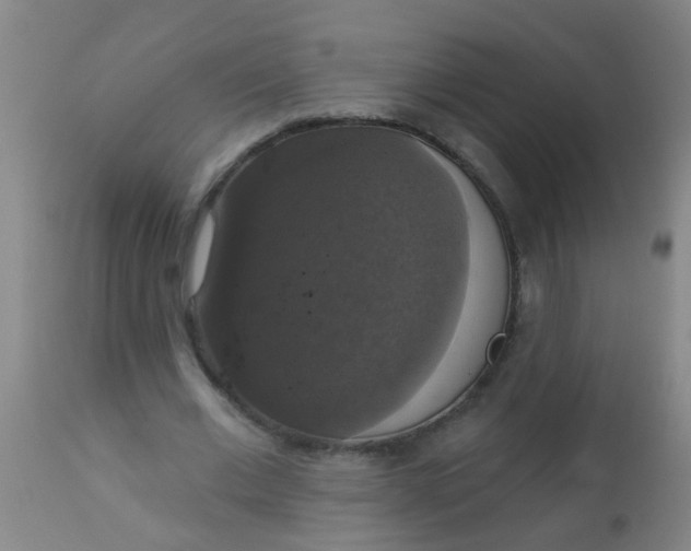 X0000112910677200909071535