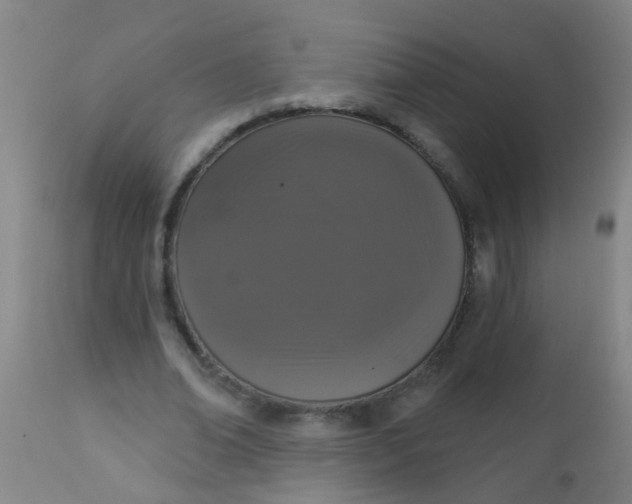 X0000112910678200909071535