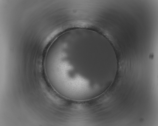 X0000112910679200909071535