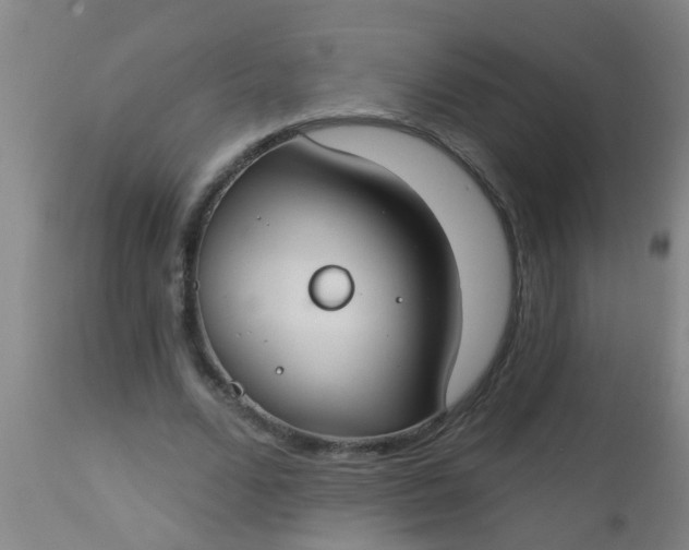 X0000112910680200909071535