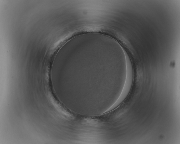 X0000112910681200909071535