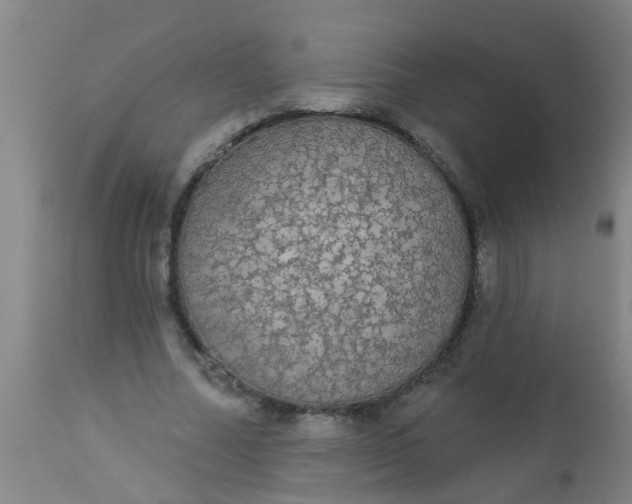 X0000112910682200909071535