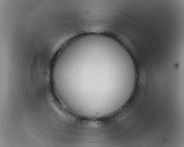 X0000112910683200909071535