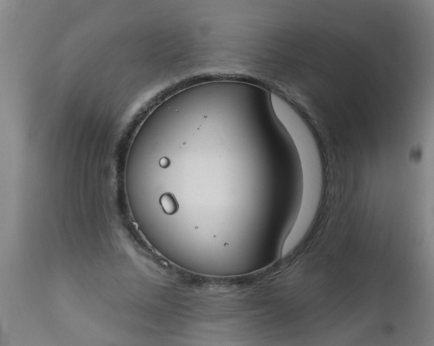 X0000112910684200909071535