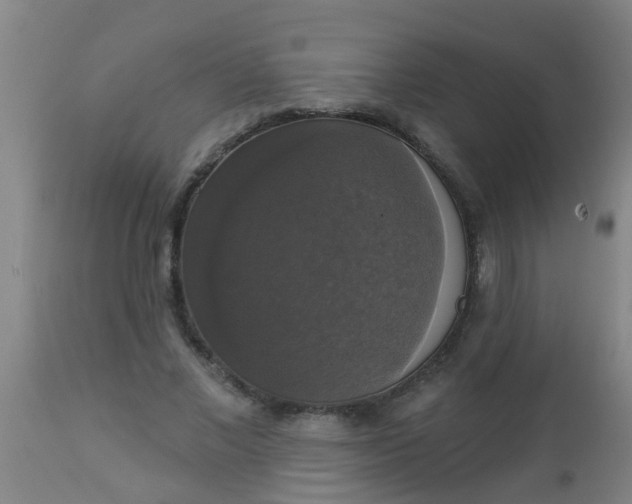 X0000112910685200909071535