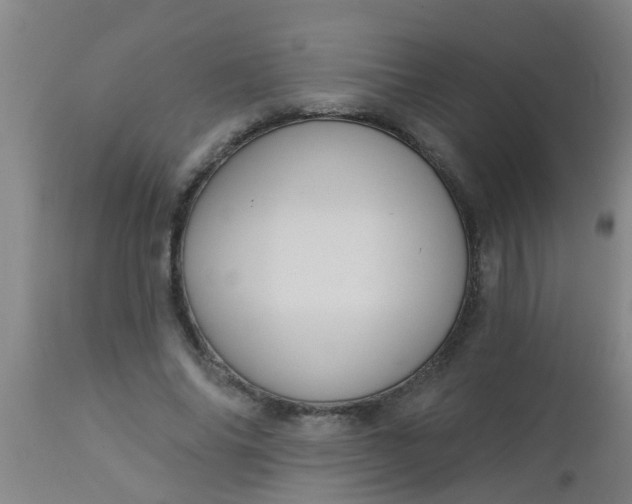 X0000112910686200909071535