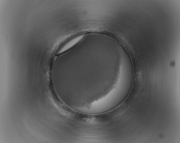 X0000112910688200909071535