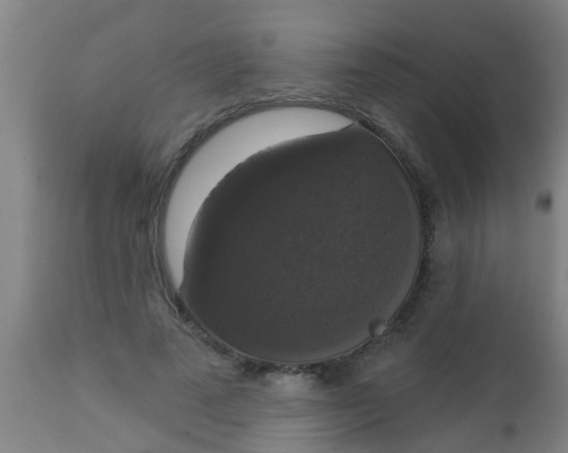 X0000112910689200909071535