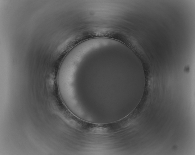 X0000112910691200909071535