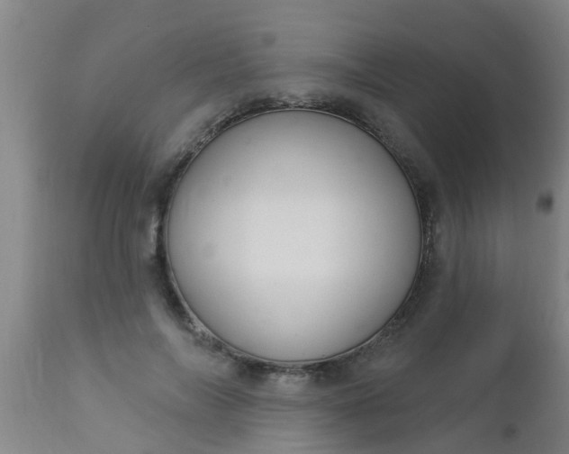 X0000112910694200909071535