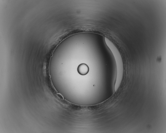 X0000112910696200909071535