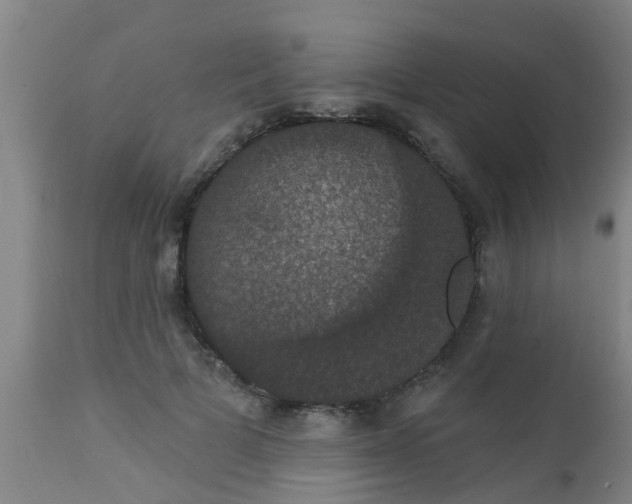 X0000112910697200909071535