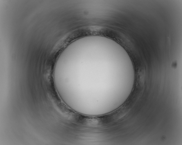 X0000112910698200909071535