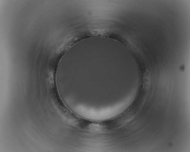 X0000112910699200909071535