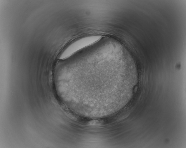 X0000112910700200909071535