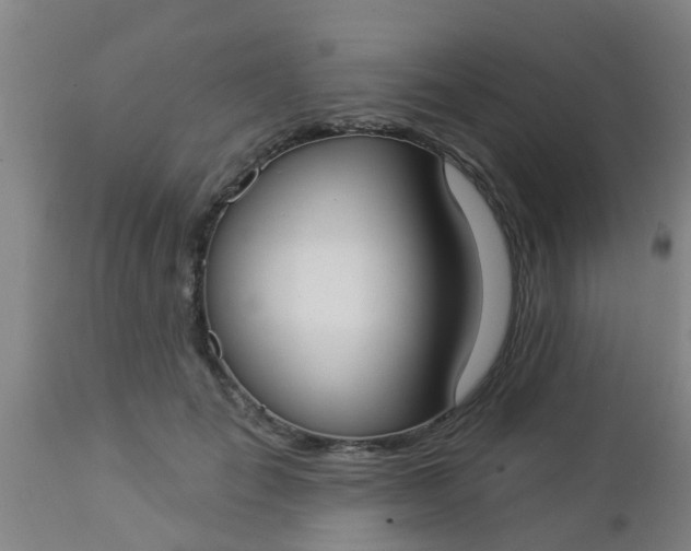 X0000112910701200909071535