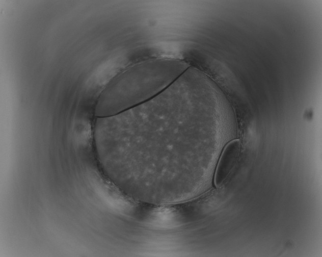 X0000112910704200909071534