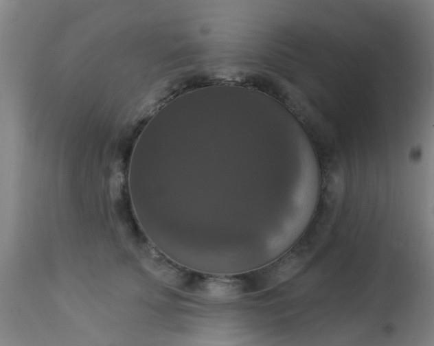 X0000112910707200909071534