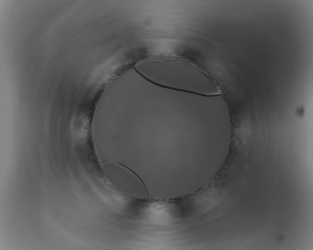 X0000112910708200909071534