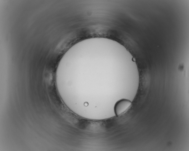 X0000112910709200909071534